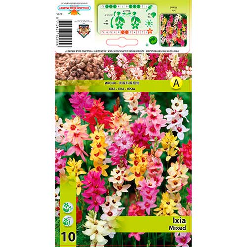 Иксия Mixed артикул фото 1 Иксия Mixed изображение 1 артикул 76295