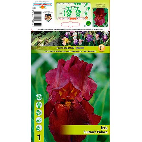 Ирис германика Sultan's Palace изображение 1 артикул 76292
