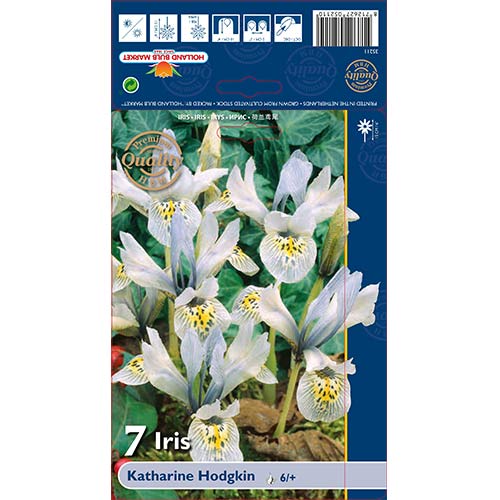 Ирис Katharine Hodgkin изображение 1 артикул 70226