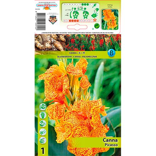 Кана Picasso артикул фото 1 Кана Picasso изображение 1 артикул 76198