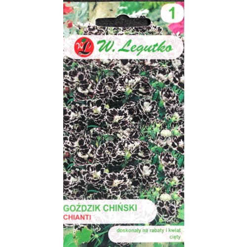 Карамфил китайски Chianti Legutko изображение 1 артикул 69592