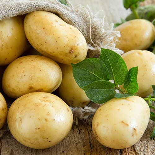 Картофи Colette изображение 1 артикул 5680