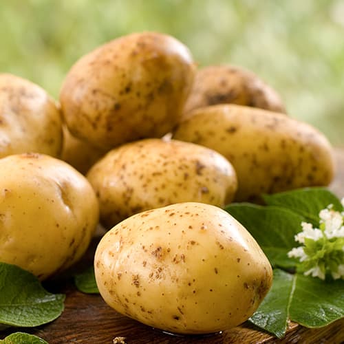 Картофи Colomba изображение 1 артикул 4823