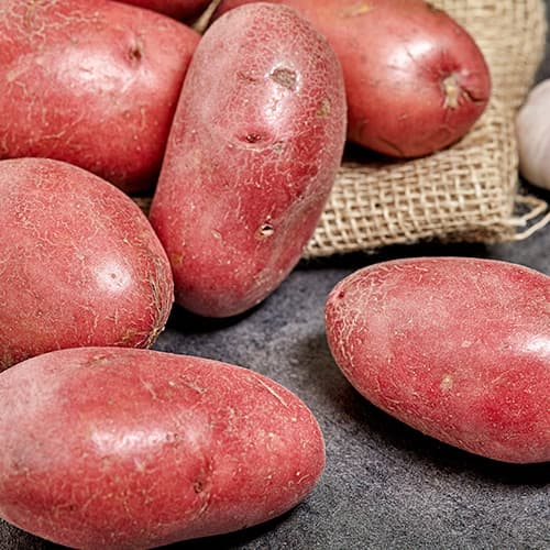 Картофи Laura изображение 1 артикул 5684