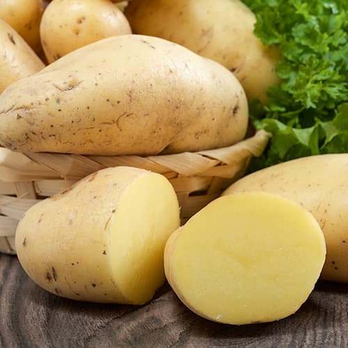 Картофи Rashida изображение 1 артикул 4829