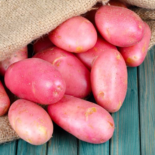 Картофи Red Fantasy изображение 1 артикул 5685
