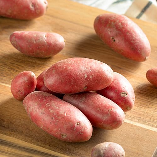 Картофи Red Sonia изображение 1 артикул 5686