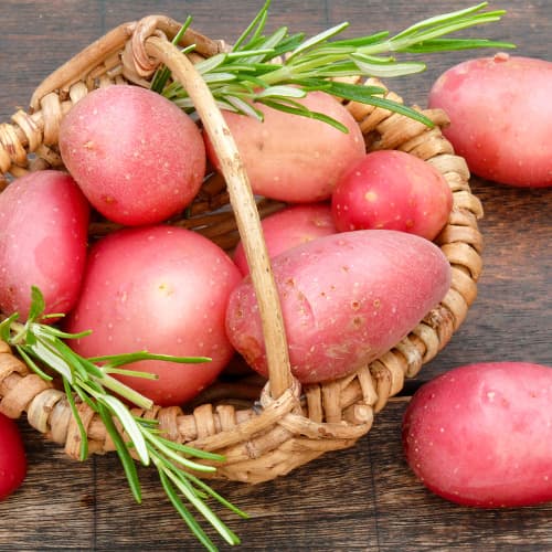 Картофи Ricarda изображение 1 артикул 5687