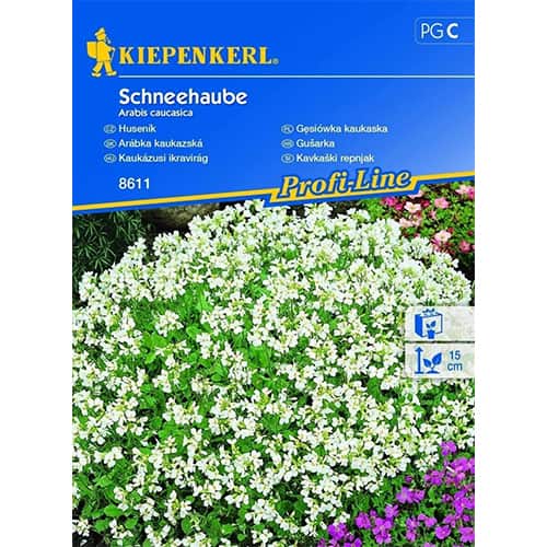 Кавказки арабис Kiepenkerl изображение 1 артикул 96511