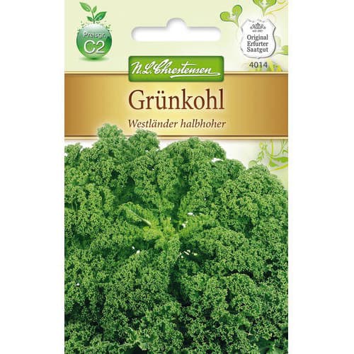 Къдраво зеле Westlander halbhoher изображение 1 артикул 78715
