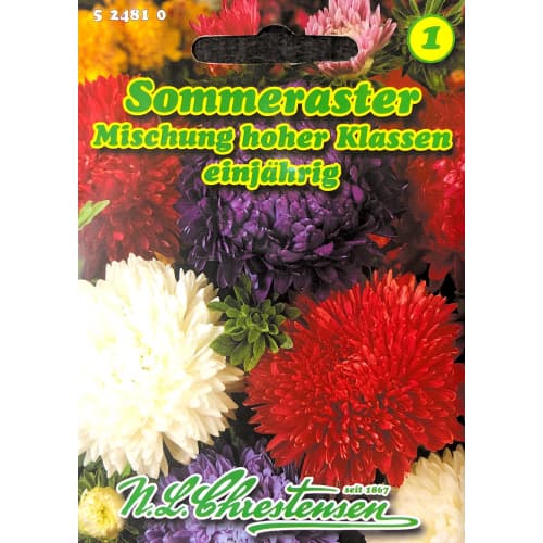 Китайска астра Sommer-Aster, смес артикул фото 1 Китайска астра Sommer-Aster, смес изображение 1 артикул 87803