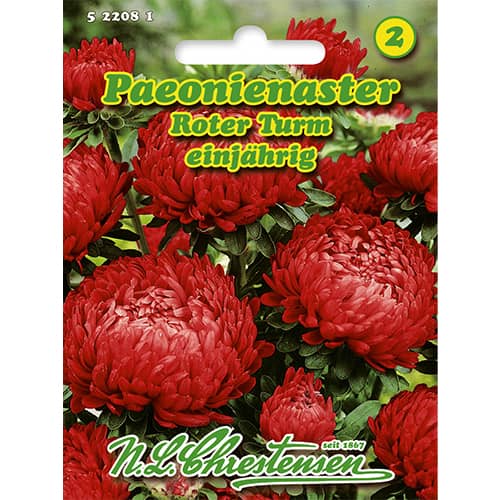 Китайска астра Roter Turm изображение 1 артикул 86136