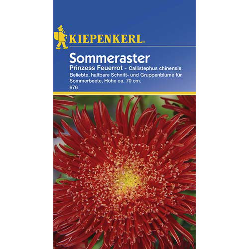 Китайска градинска астра Prinzess, червена изображение 1 артикул 77430
