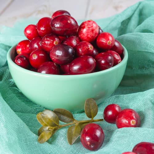 Клюква (червена боровинка) Piligrim, P9 артикул фото 1 Клюква (червена боровинка) Piligrim, P9 изображение 1 артикул 9311