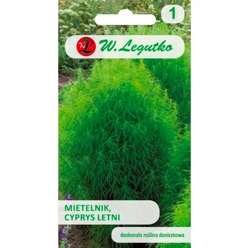 Кохия (Kochia Scoparia) Legutko артикул фото 1 Кохия (Kochia Scoparia) Legutko изображение 1 артикул 78580