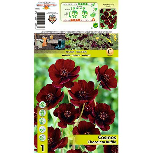 Космос Chocolate Ruffle артикул фото 1 Космос Chocolate Ruffle изображение 1 артикул 70368