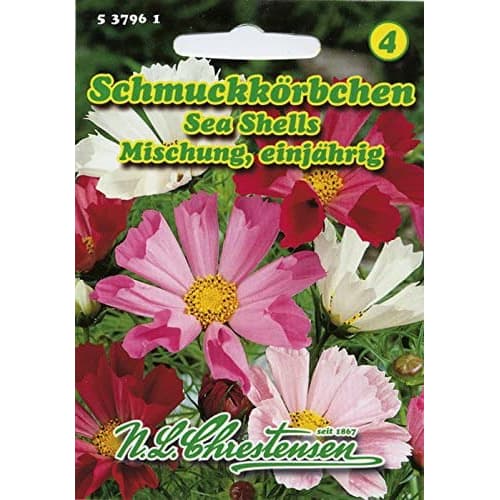 Космос Sea Shells, смес артикул фото 1 Космос Sea Shells, смес изображение 1 артикул 87805