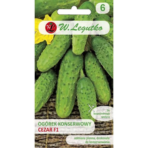 Краставица Cezar F1 изображение 1 артикул 86874