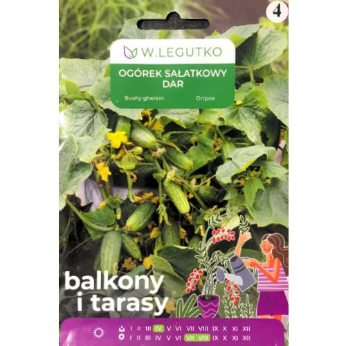 Краставица Dar изображение 1 артикул 69647