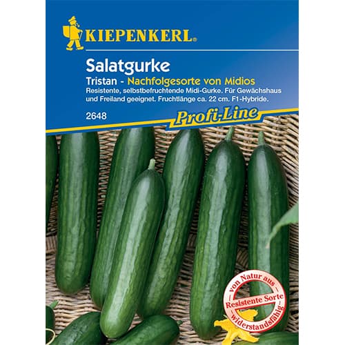 Краставица Midele Kiepenkerl артикул фото 1 Краставица Midele Kiepenkerl изображение 1 артикул 50023