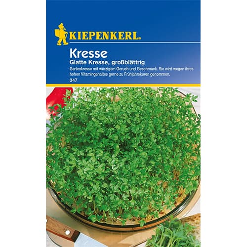 Кресон Glatte изображение 1 артикул 77464