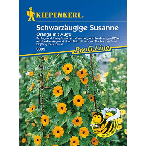 Тунбергия Orange mit Auge артикул фото 1 Тунбергия Orange mit Auge изображение 1 артикул 86311