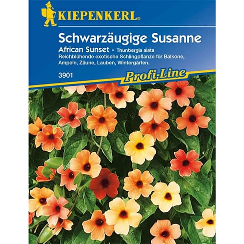 Тунбергия Susanne African Sunset артикул фото 1 Тунбергия Susanne African Sunset изображение 1 артикул 86309