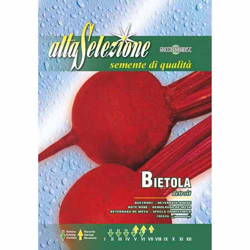 Кръмно цвекло Detroit изображение 1 артикул 87178