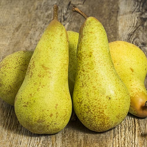 Круша Abate Fetel, C2 изображение 1 артикул 9684
