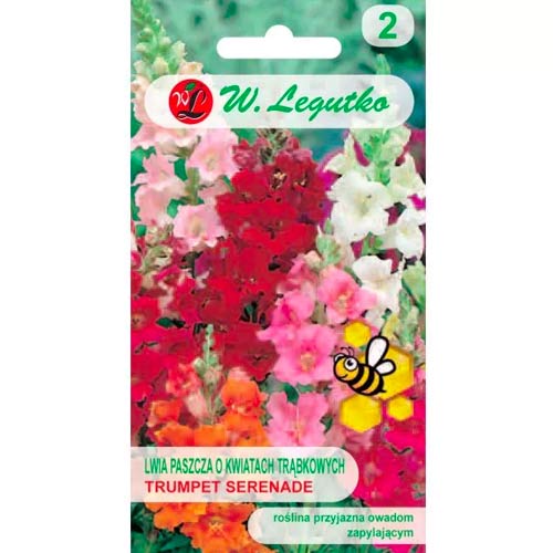 Кученца ниски Trumpet Serenade Legutko артикул фото 1 Кученца ниски Trumpet Serenade Legutko изображение 1 артикул 78574