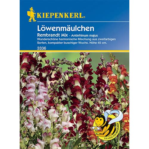 Кученца Rembrandt артикул фото 1 Кученца Rembrandt изображение 1 артикул 86286