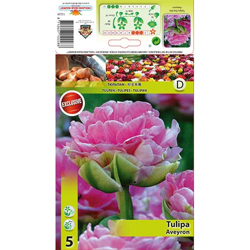 Лале Aveyron изображение 1 артикул 68075