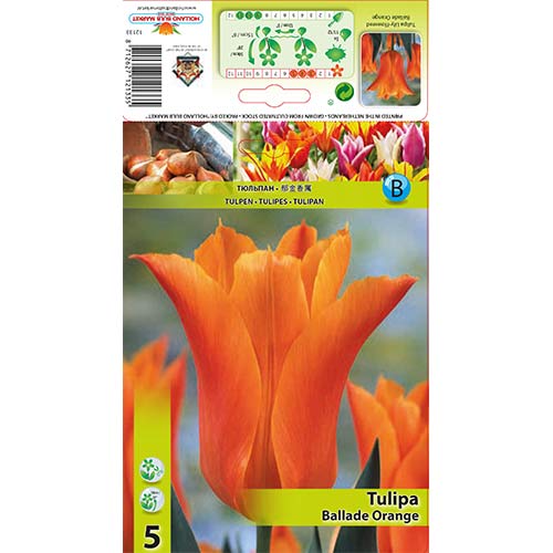 Лале Ballade Orange артикул фото 1 Лале Ballade Orange изображение 1 артикул 67690