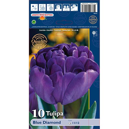 Лале Blue Diamond артикул фото 1 Лале Blue Diamond изображение 1 артикул 67769