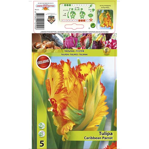 Лале Carribean Parrot артикул фото 1 Лале Carribean Parrot изображение 1 артикул 67491