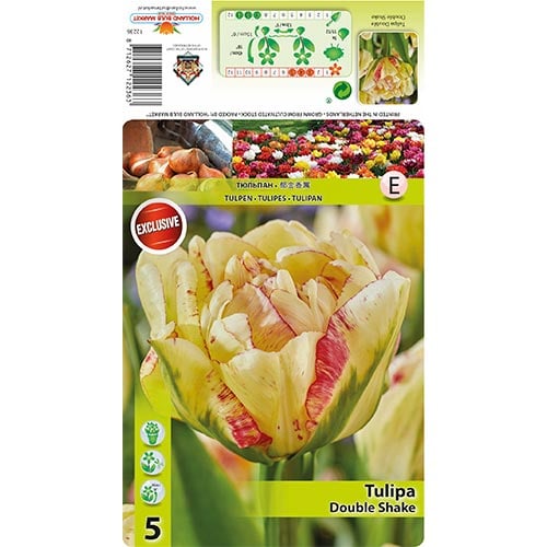 Лале Double Shake артикул фото 1 Лале Double Shake изображение 1 артикул 68404