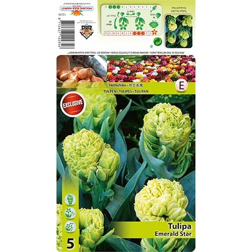 Лале Emerald Star артикул фото 1 Лале Emerald Star изображение 1 артикул 68406
