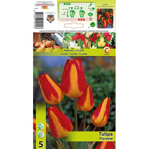 Лале Florette артикул фото 1 Лале Florette изображение 1 артикул 70305