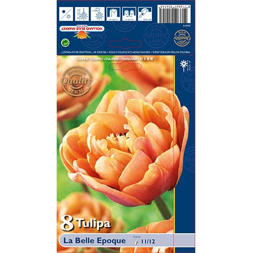 Лале La Belle Epoque изображение 1 артикул 70254