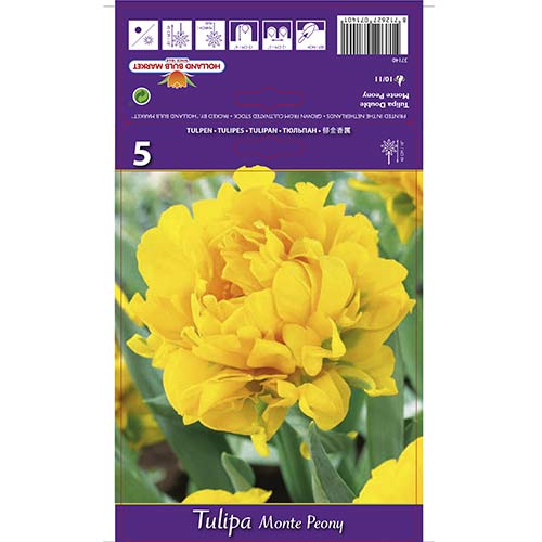 Лале Monte Peony артикул фото 1 Лале Monte Peony изображение 1 артикул 67775