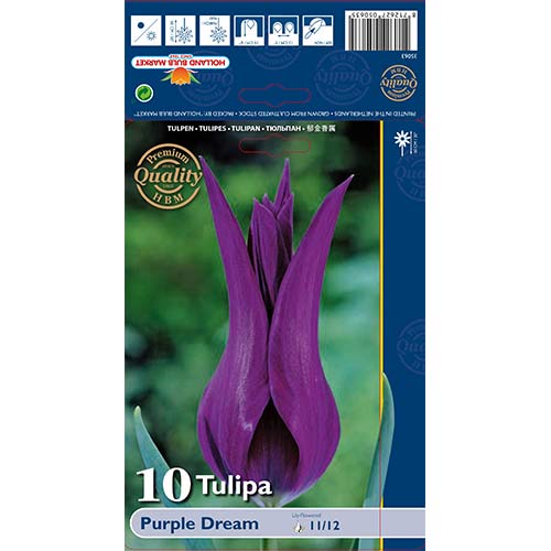 Лале Purple Dream артикул фото 1 Лале Purple Dream изображение 1 артикул 67480