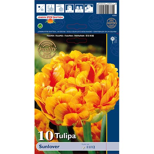 Лале Sunlover артикул фото 1 Лале Sunlover изображение 1 артикул 68042