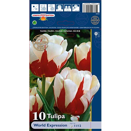 Лале World Expression артикул фото 1 Лале World Expression изображение 1 артикул 68031