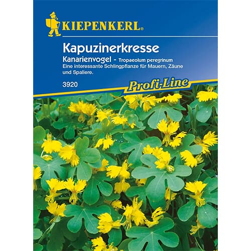 Латинка Kanarienvogel изображение 1 артикул 86274