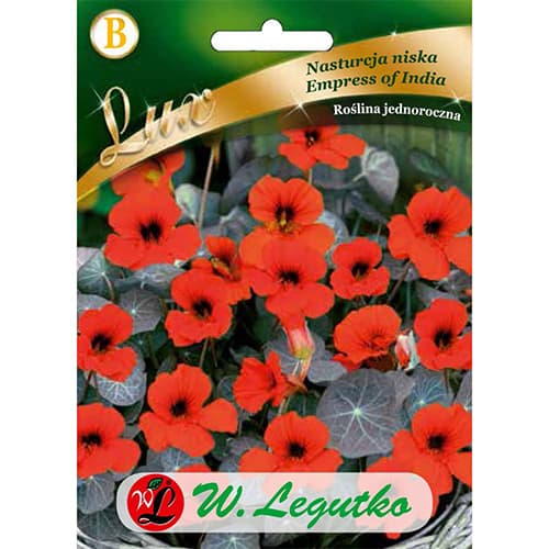 Латинка ниска Empress of India изображение 1 артикул 86750