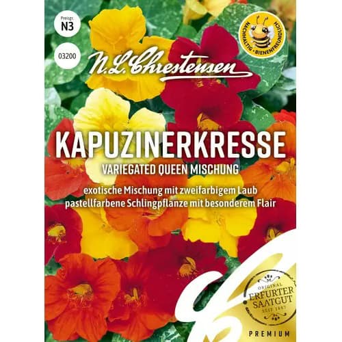 Латинка Variegated Queen, смес изображение 1 артикул 87812