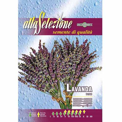 Лавандула Morami изображение 1 артикул 96387