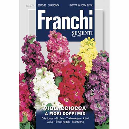 Летен левкой, смес от цветове изображение 1 артикул 87127