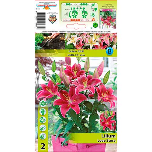 Лилиум източен Love Story изображение 1 артикул 76313