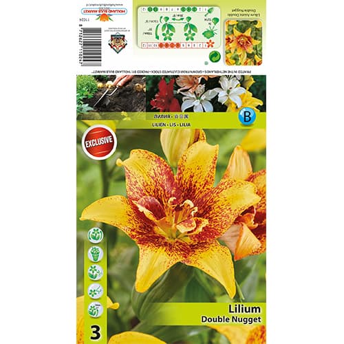 Лилия Double Nugget изображение 1 артикул 77820